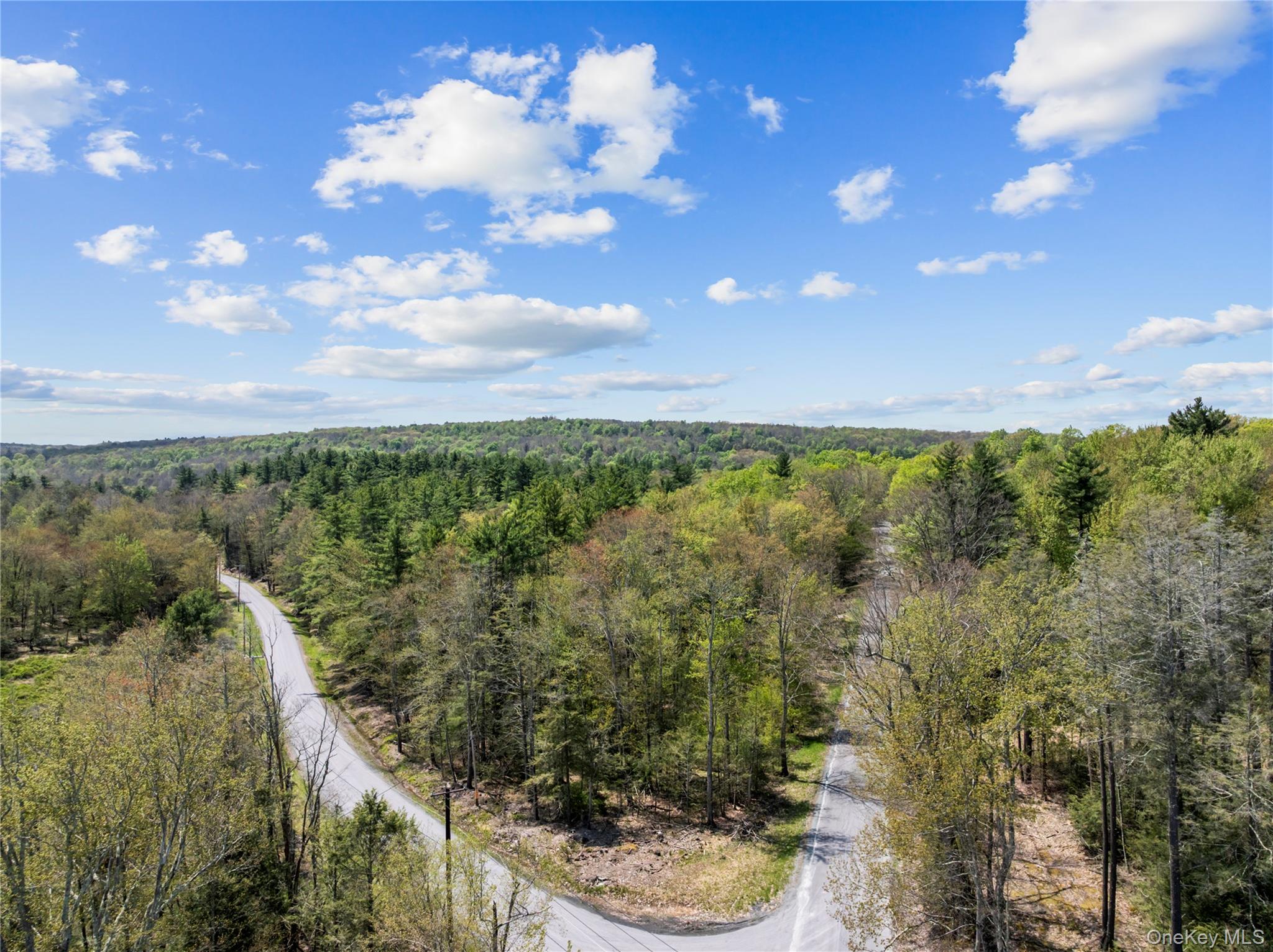 Church Road Fallsburg, NY 12733 - Photo 1 of 12