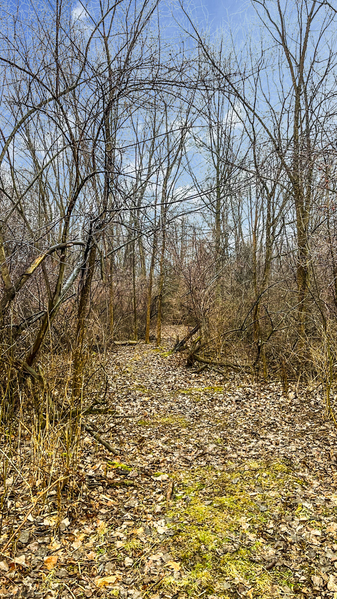 Baldwin Road Bridgman, MI 49106 - Photo 3 of 5 Lot for Sale-4