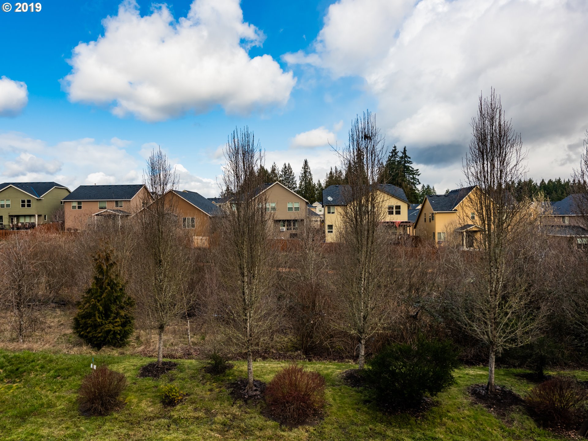 3014 Northeast 168th Circle Ridgefield, WA 98642 - Photo 13 of 30 Backyard