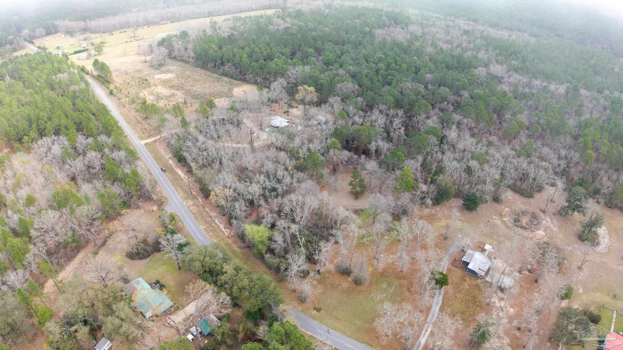 Pleasant Home Church Road Holt, FL 32564 - Photo 1 of 15 a view of a forest with a dry yard