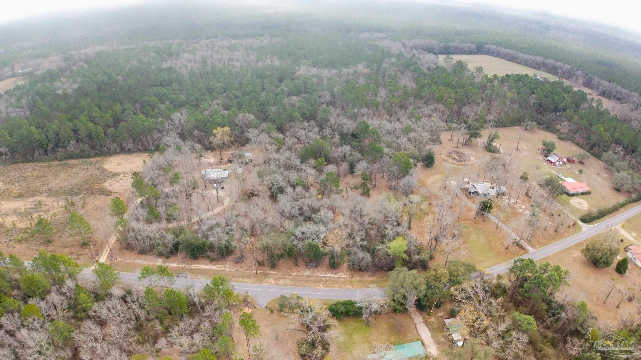 Pleasant Home Church Road Holt, FL 32564 - Photo 11 of 15 a view of a yard in a forest