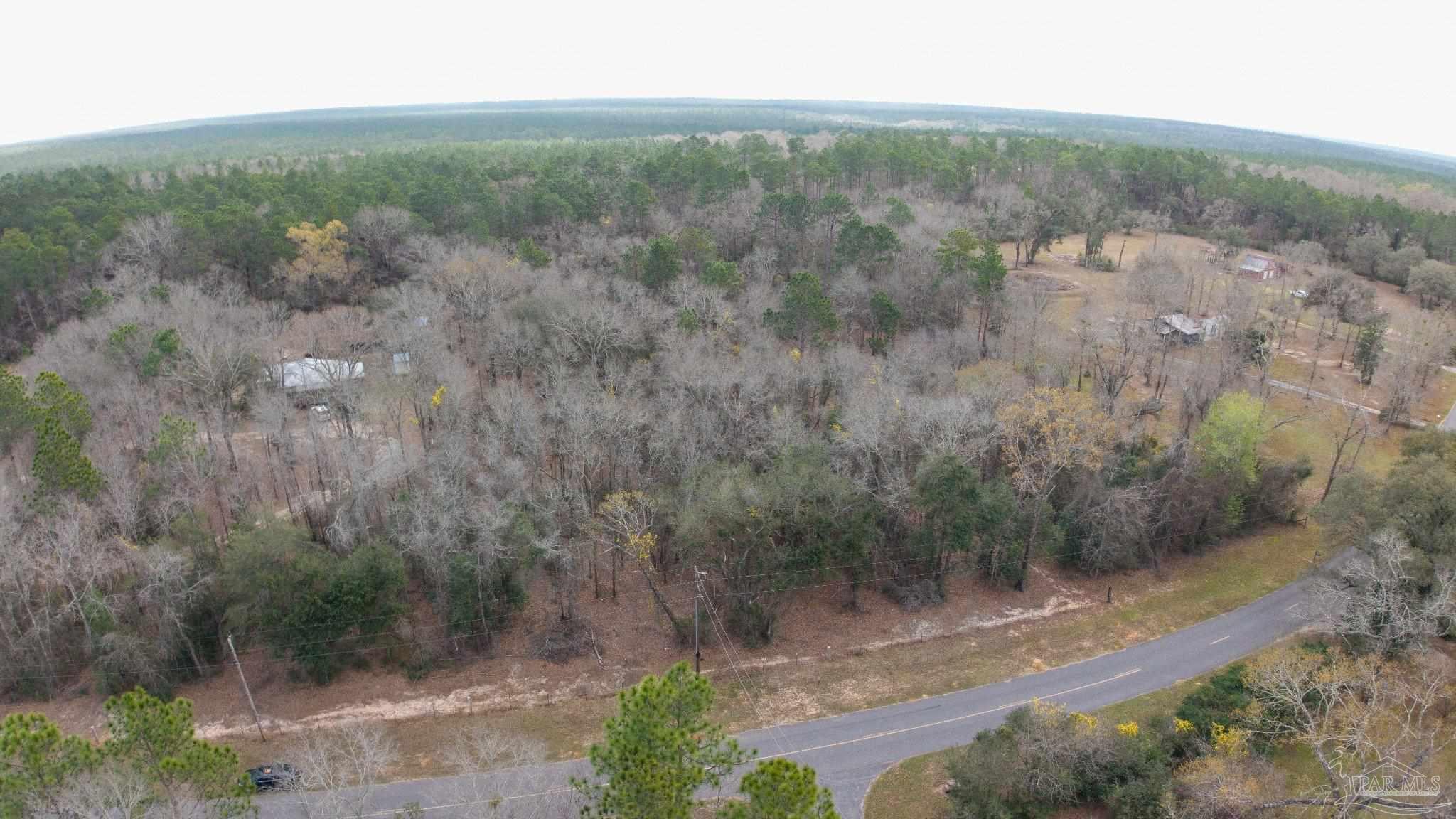 Pleasant Home Church Road Holt, FL 32564 - Photo 13 of 15 a view of a yard with a forest