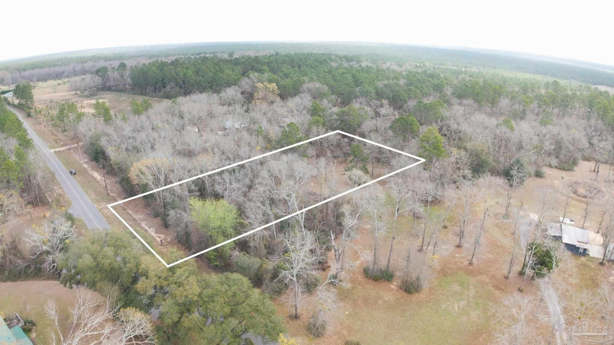 Pleasant Home Church Road Holt, FL 32564 - Photo 14 of 15 a view of a forest