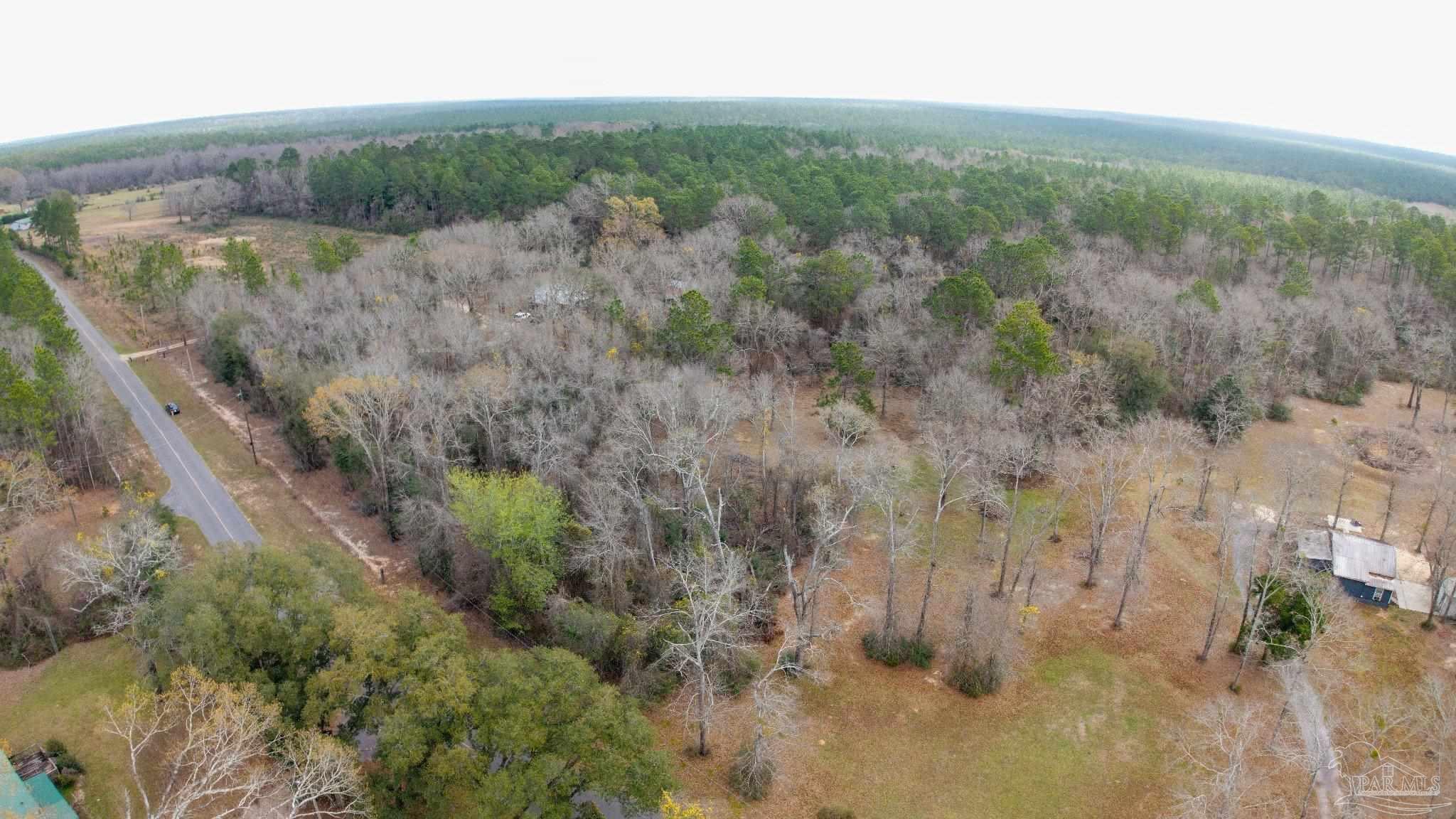 Pleasant Home Church Road Holt, FL 32564 - Photo 15 of 15