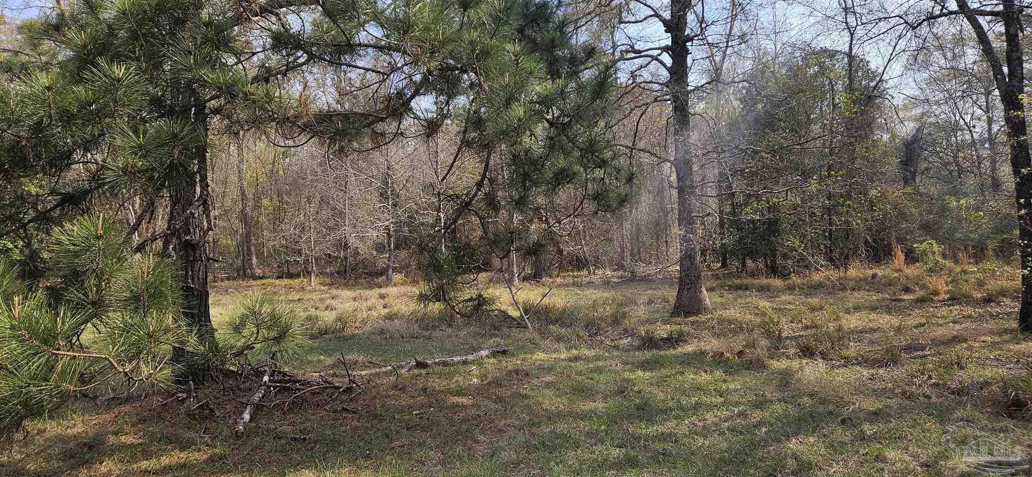 Pleasant Home Church Road Holt, FL 32564 - Photo 2 of 15 a backyard of a house with lots of green space