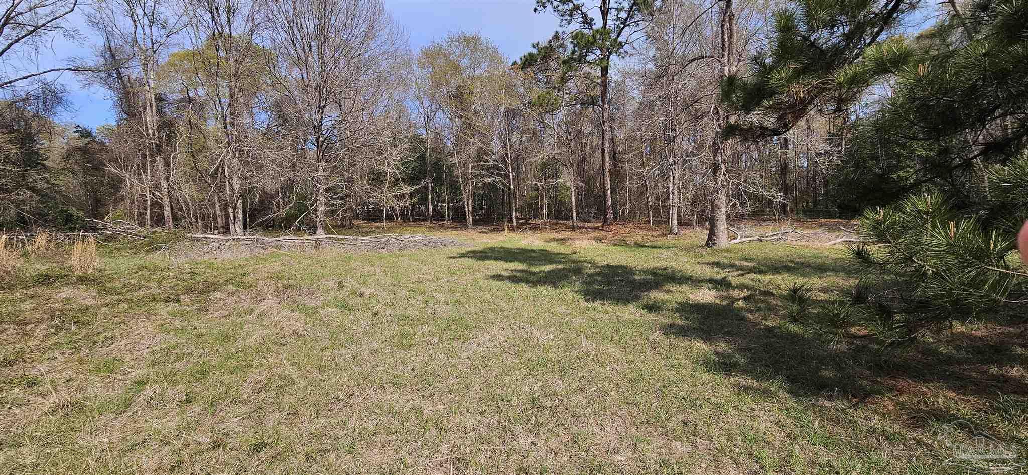 Pleasant Home Church Road Holt, FL 32564 - Photo 3 of 15 a backyard of a house with large trees