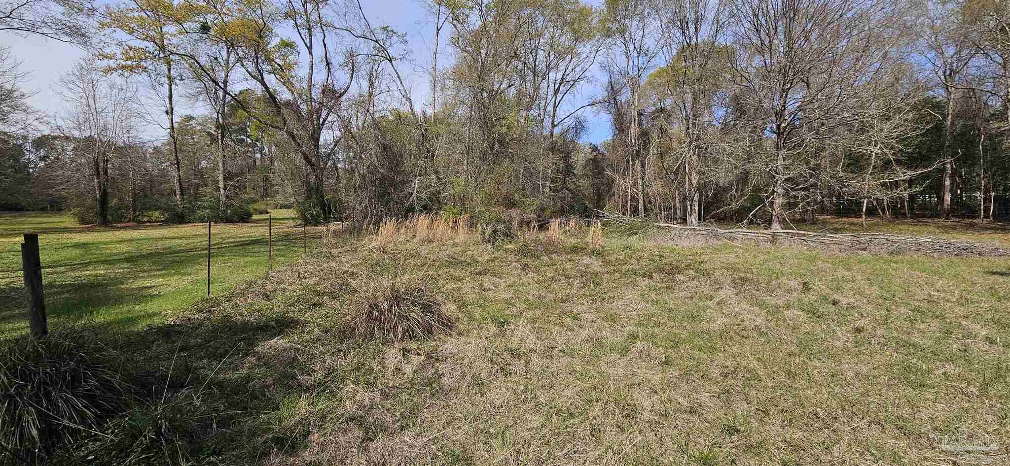 Pleasant Home Church Road Holt, FL 32564 - Photo 4 of 15 a view of a yard with trees