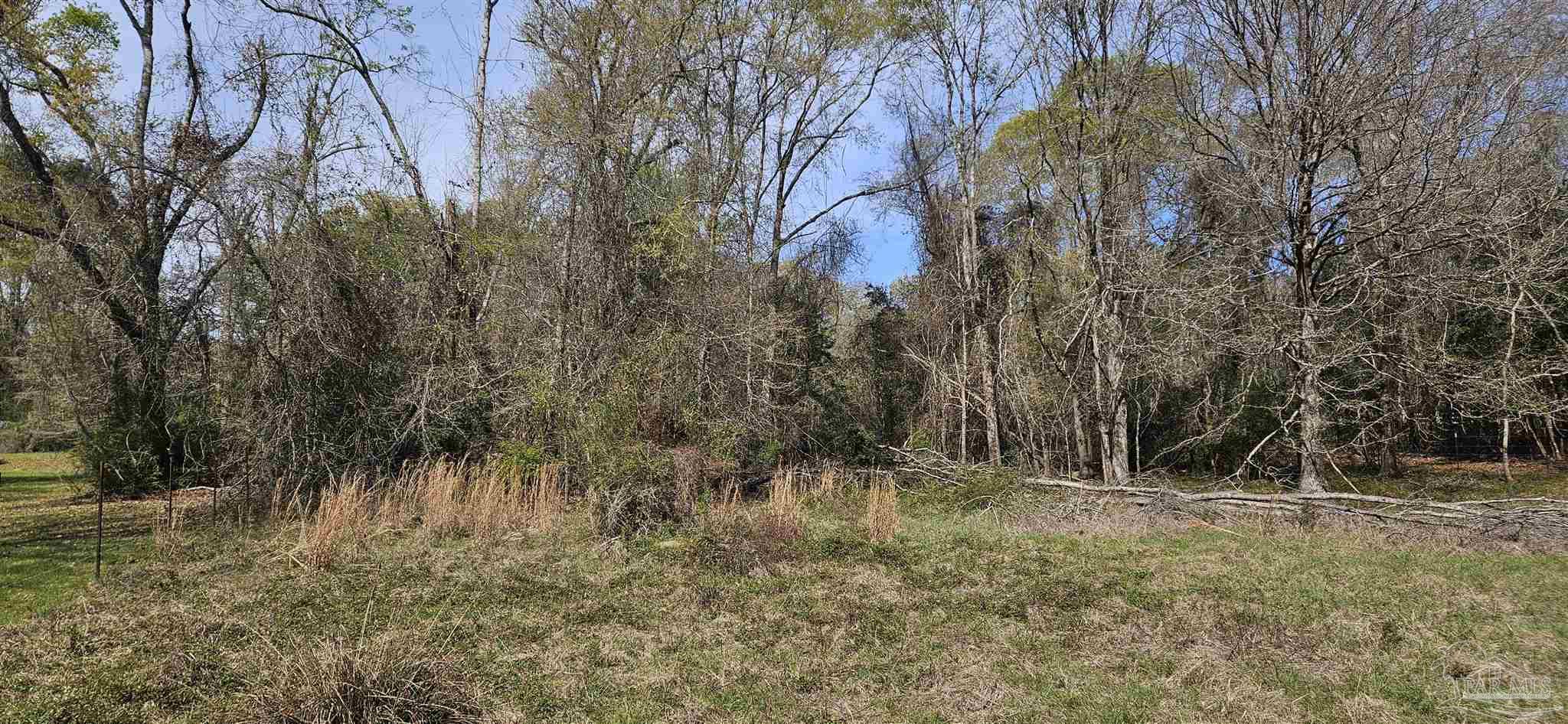 Pleasant Home Church Road Holt, FL 32564 - Photo 5 of 15 a view of backyard with green space