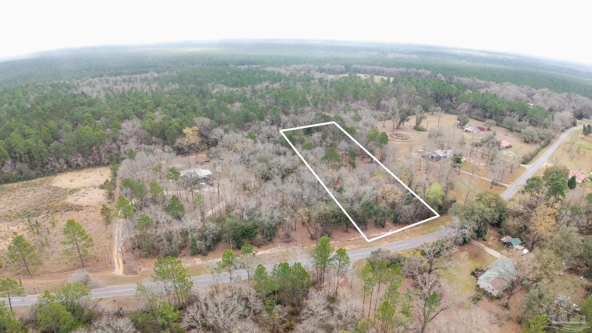 Pleasant Home Church Road Holt, FL 32564 - Photo 9 of 15 a view of a forest