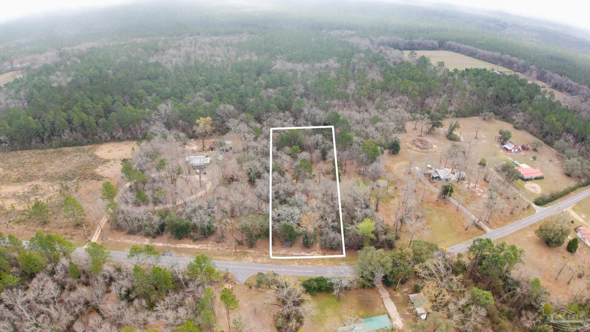 Pleasant Home Church Road Holt, FL 32564 - Photo 10 of 15 a view of a yard with trees in front of it