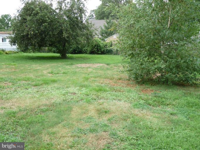 6811 Cornell Road Middle River, MD 21220 - Photo 2 of 15 Back yard