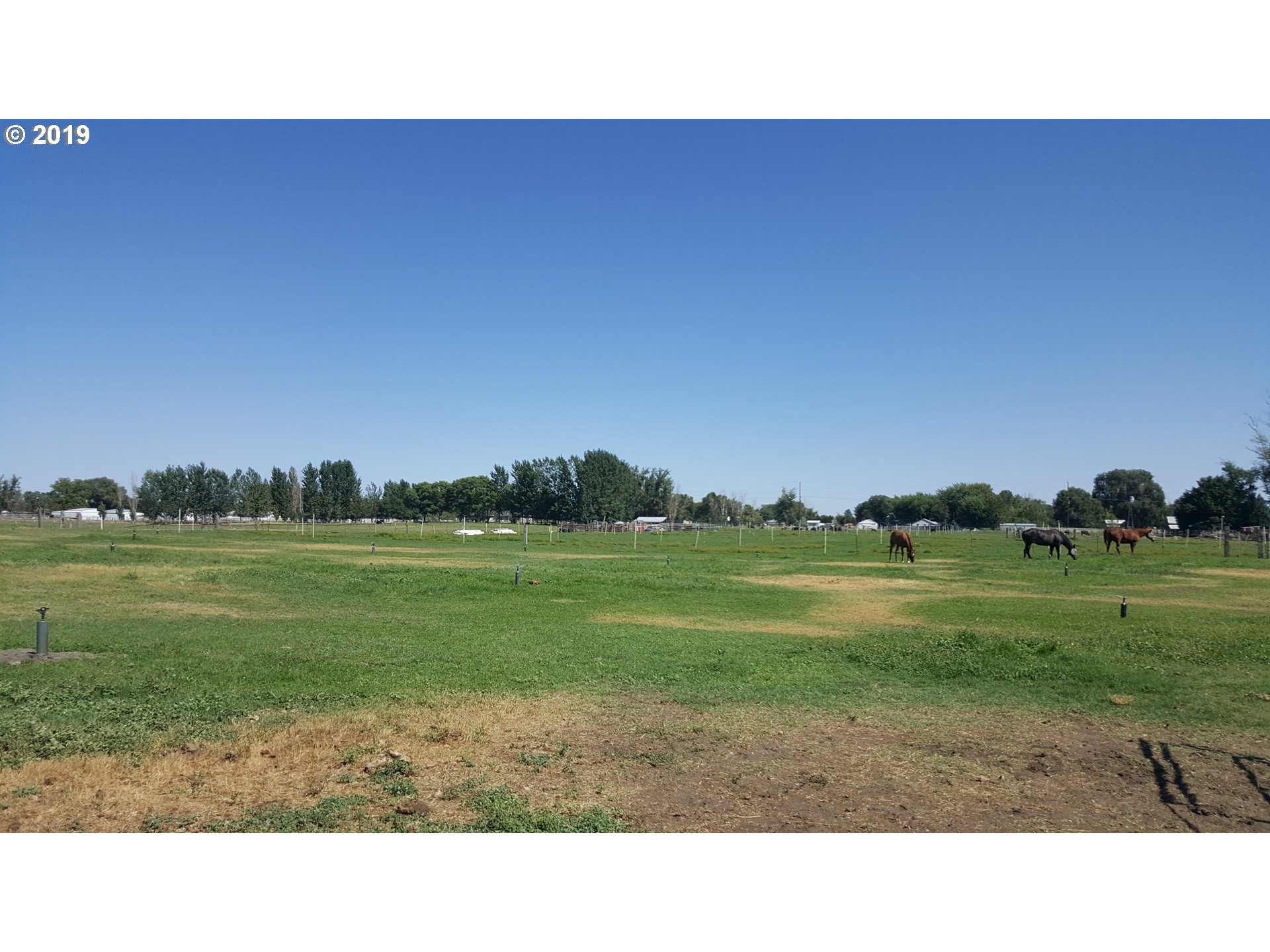 32407 East Punkin Center Road Hermiston, OR 97838 - Photo 7 of 17