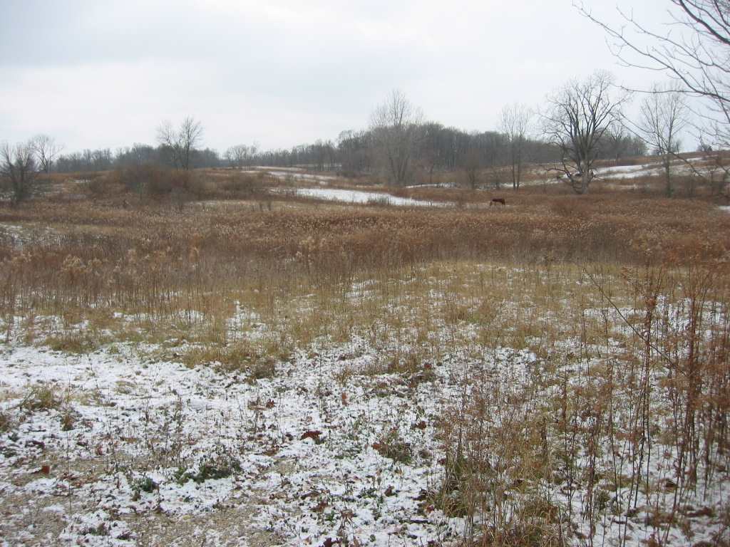 11214 North Wilkinson Road Mooreland, IN 47360 - Photo 1 of 3 Gallery Image 1