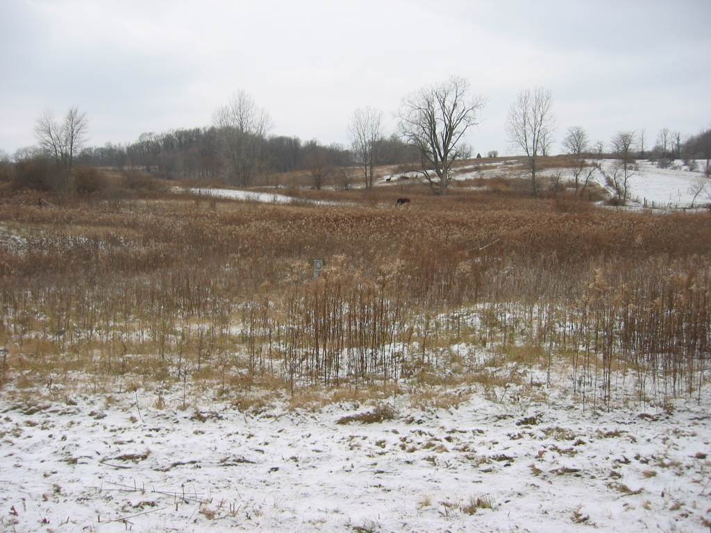 11214 North Wilkinson Road Mooreland, IN 47360 - Photo 2 of 3 Gallery Image 2