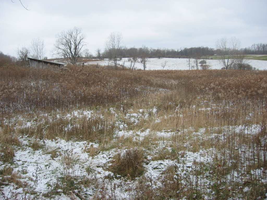 11214 North Wilkinson Road Mooreland, IN 47360 - Photo 3 of 3 Gallery Image 3