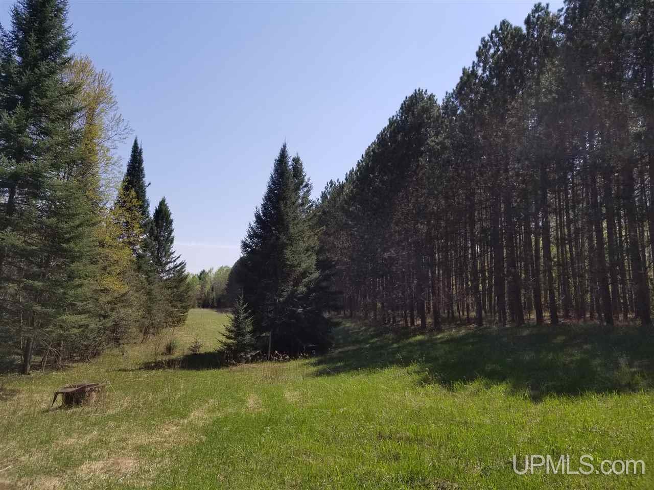 Tbd South Menominee Co Line Road Bark River, MI 49807 - Photo 10 of 13