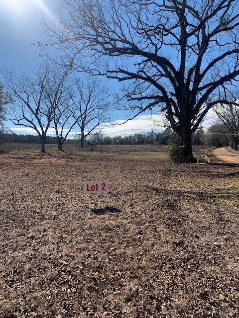 0 Box Road Dothan, AL 36301 - Photo 4 of 7