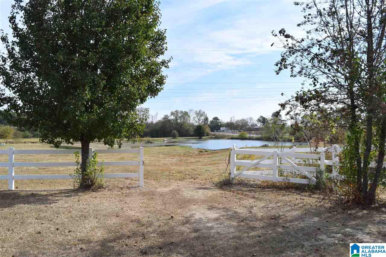 46 Odice Branham Road Hayden, AL 35079 - Photo 8 of 50