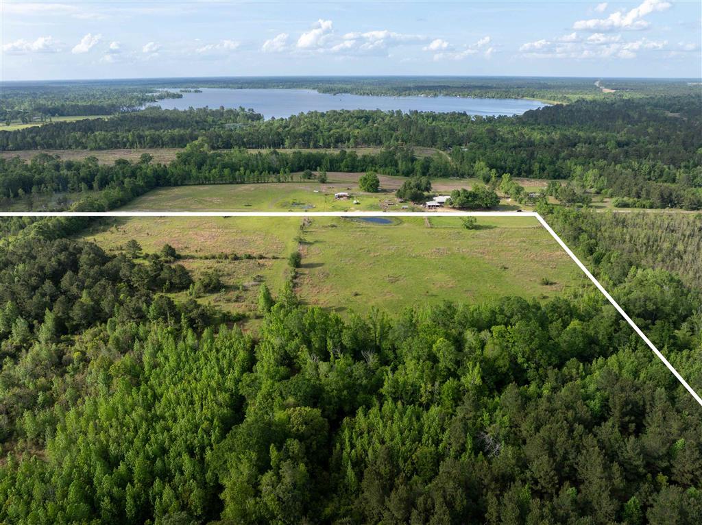 0 Odis Greene Road Deridder, LA 70634 - Photo 5 of 17 Gallery Image 5
