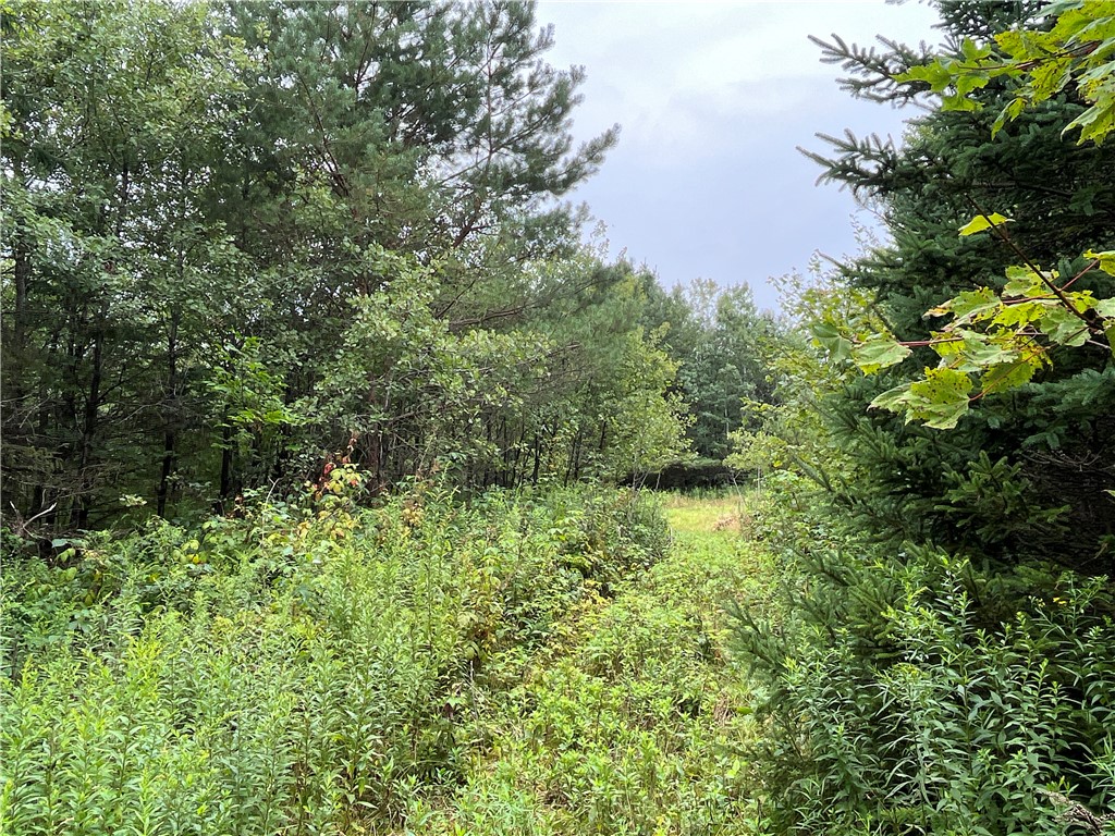 0 Level Green Road Berkshire, NY 13736 - Photo 1 of 1 Gallery Image 1