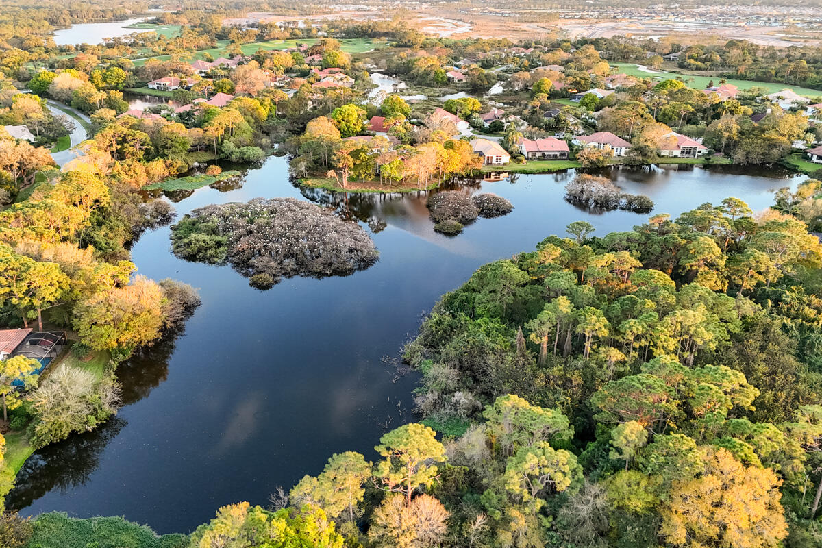 13008 Harbour Ridge Boulevard Palm City, FL 34990 - Photo 75 of 76 Rookery Afternoon 2