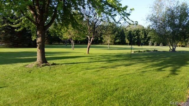 14705 Reid Road Romeo, MI 48065 - Photo 38 of 40 14705 Reid Yard.jpg
