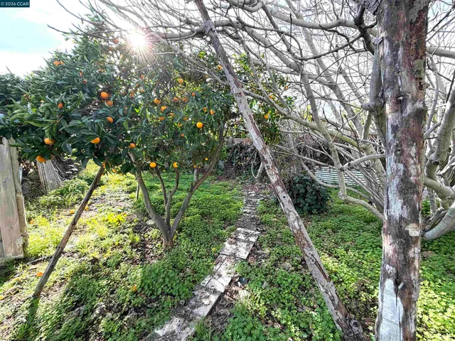 $669,000 | 1625 Thrush Avenue, San Leandro, CA 94578