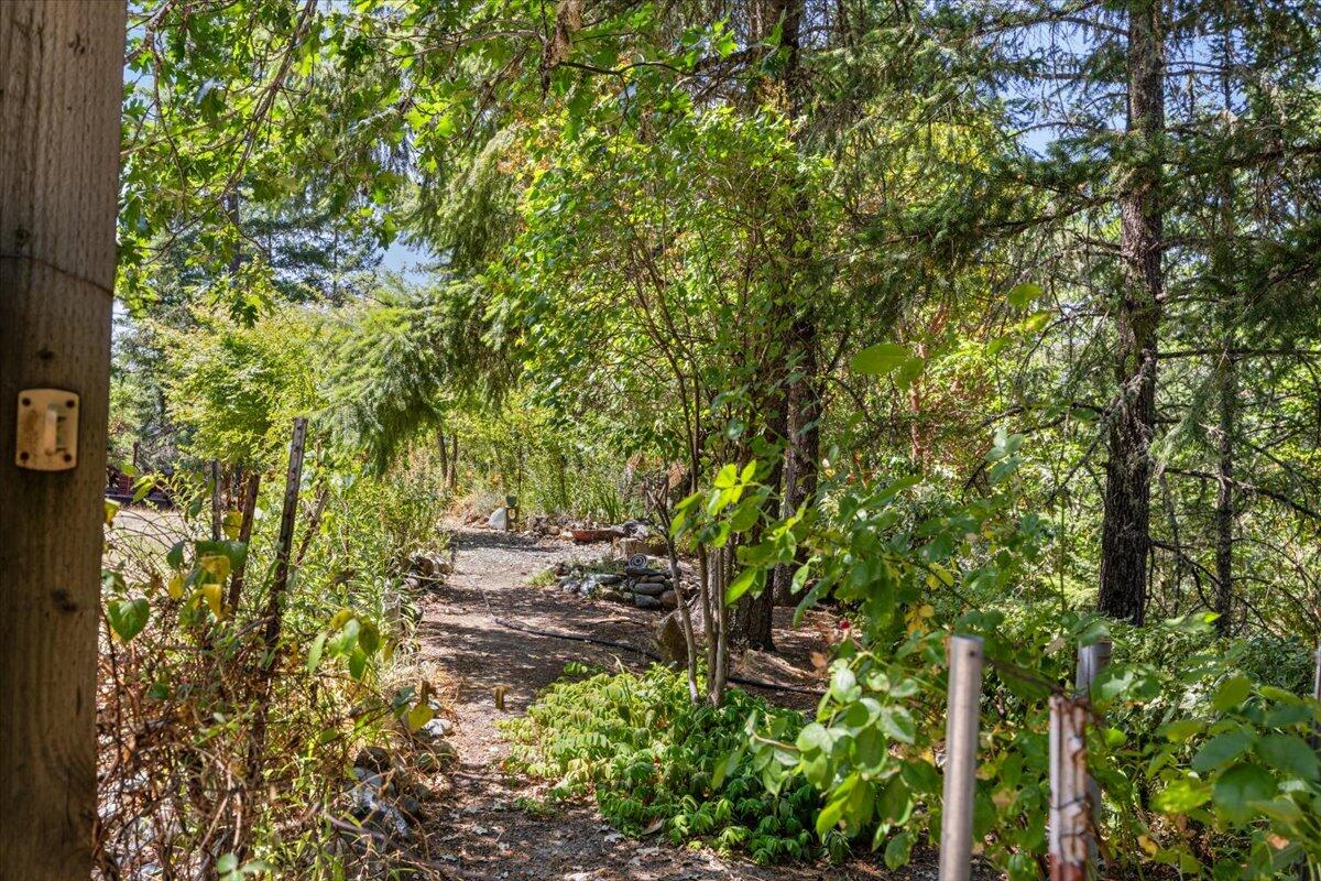 197 Gold Canyon Road Selma, OR 97538 - Photo 4 of 22 Garden area #1