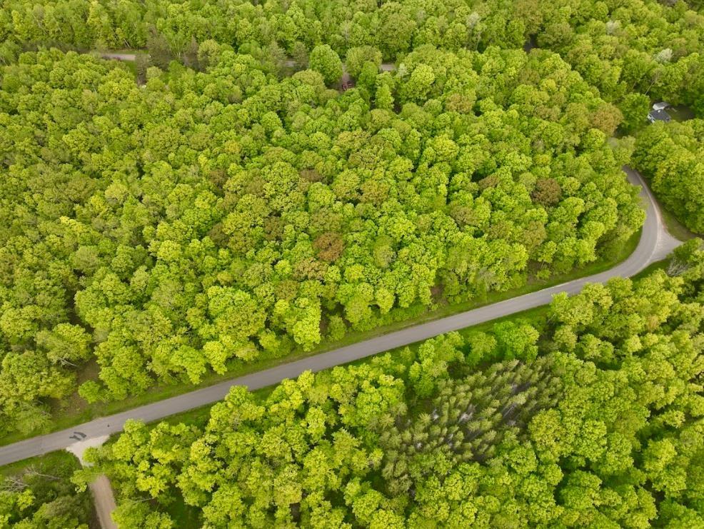 0 Buettner Road White Lake, WI 54491 - Photo 6 of 10 Gallery Image 6
