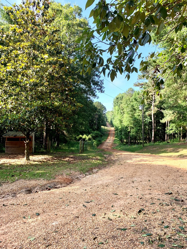 2039 Highway 44 Summit, MS 39666 - Photo 31 of 47 Photo 31