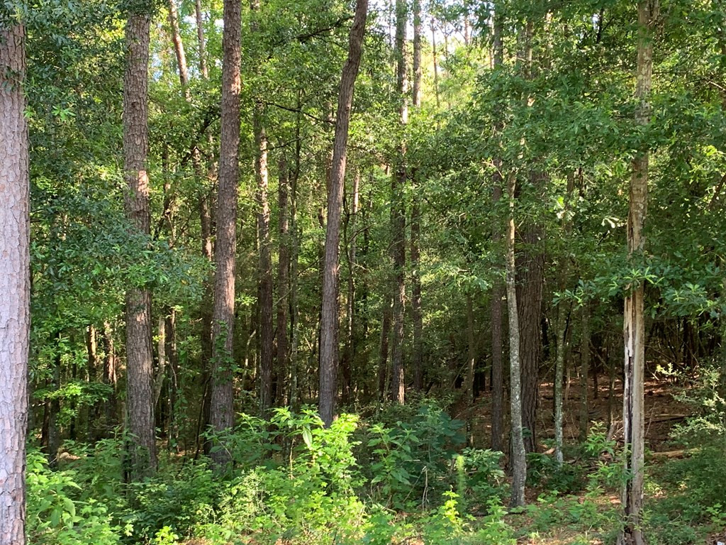 2039 Highway 44 Summit, MS 39666 - Photo 42 of 47 Photo 42