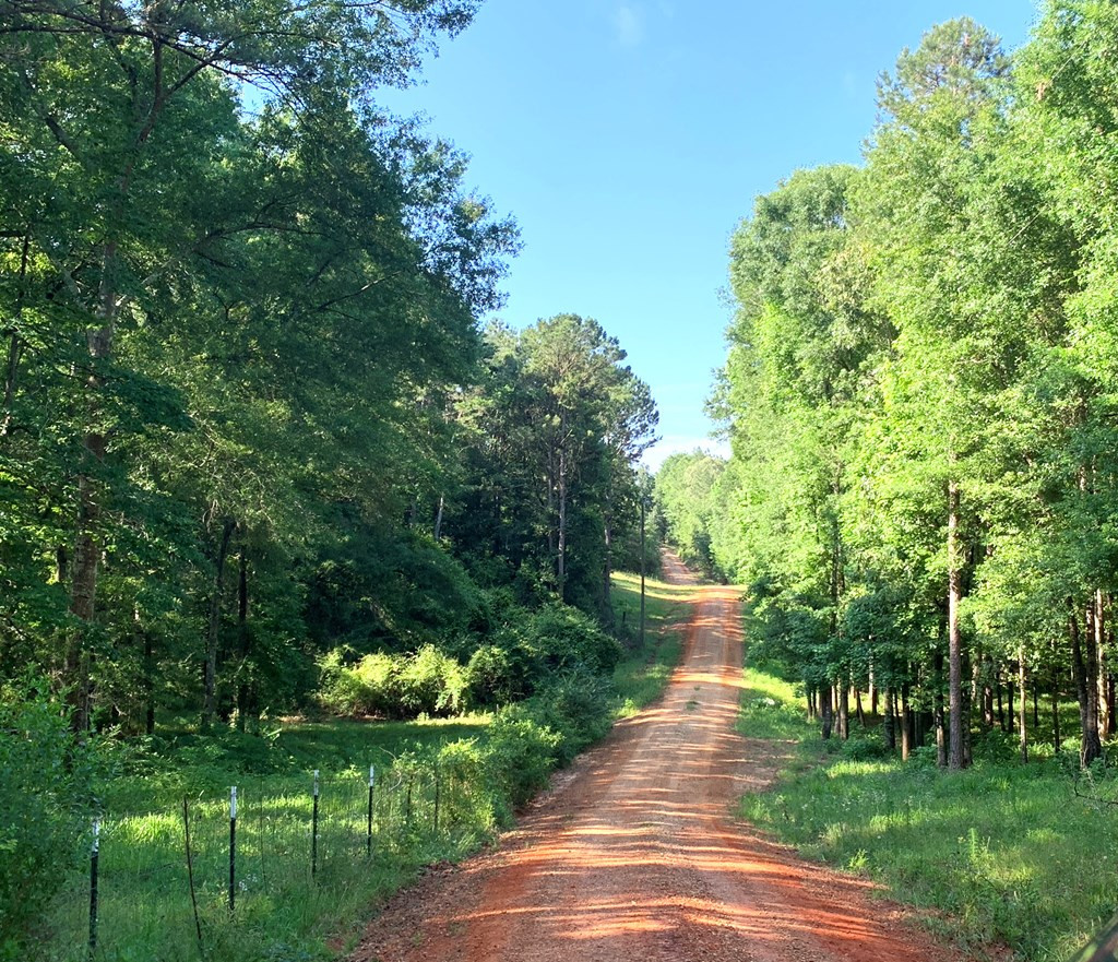 2039 Highway 44 Summit, MS 39666 - Photo 45 of 47 Photo 45