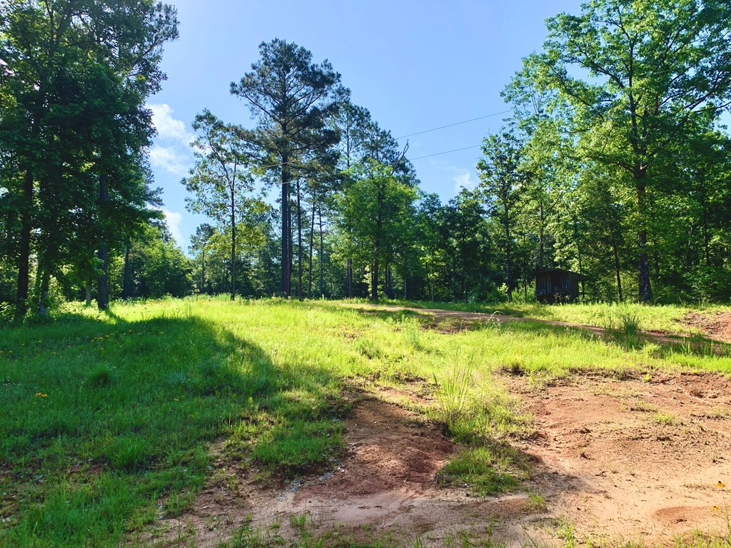 2039 Highway 44 Summit, MS 39666 - Photo 46 of 47 Photo 46
