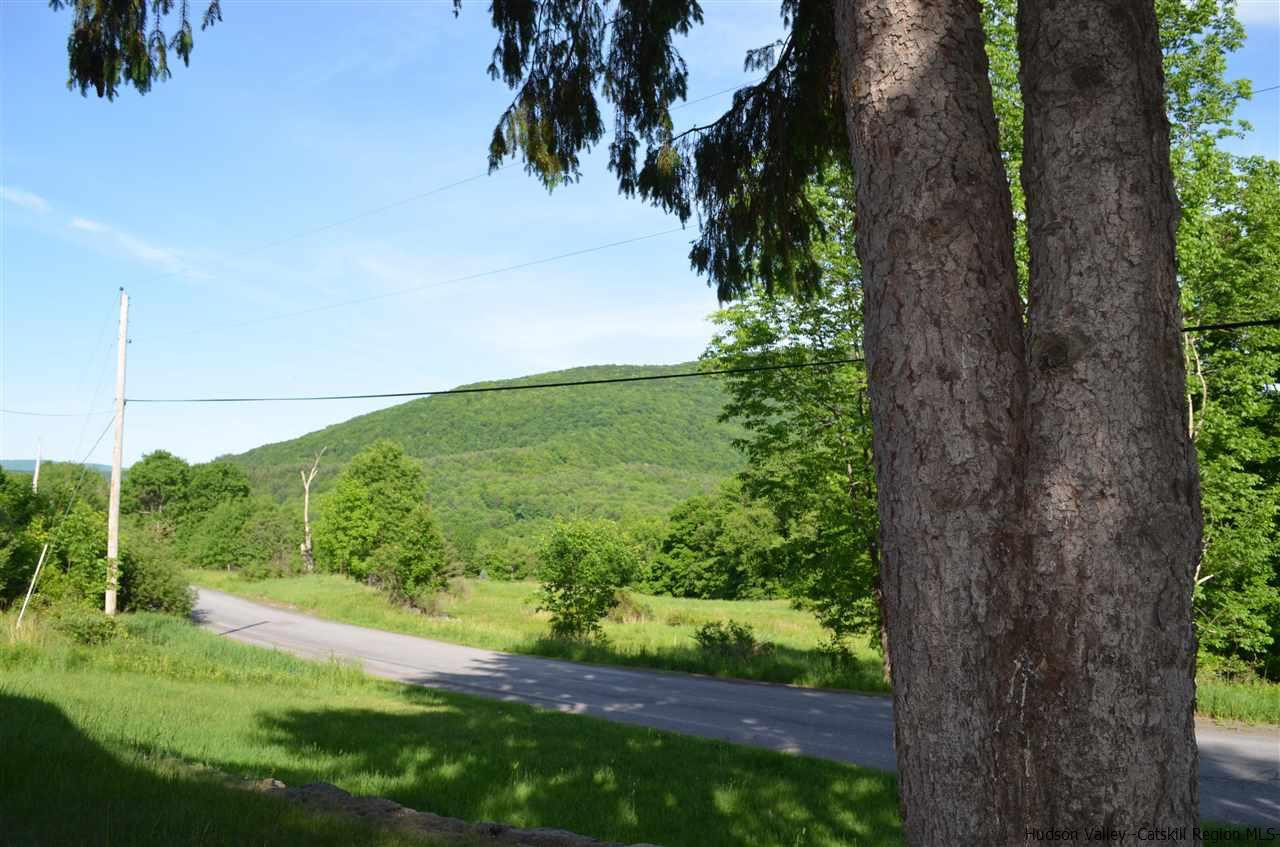 130 North Beech Ridge Road West Kill, NY 12492 - Photo 2 of 26 Photo 2