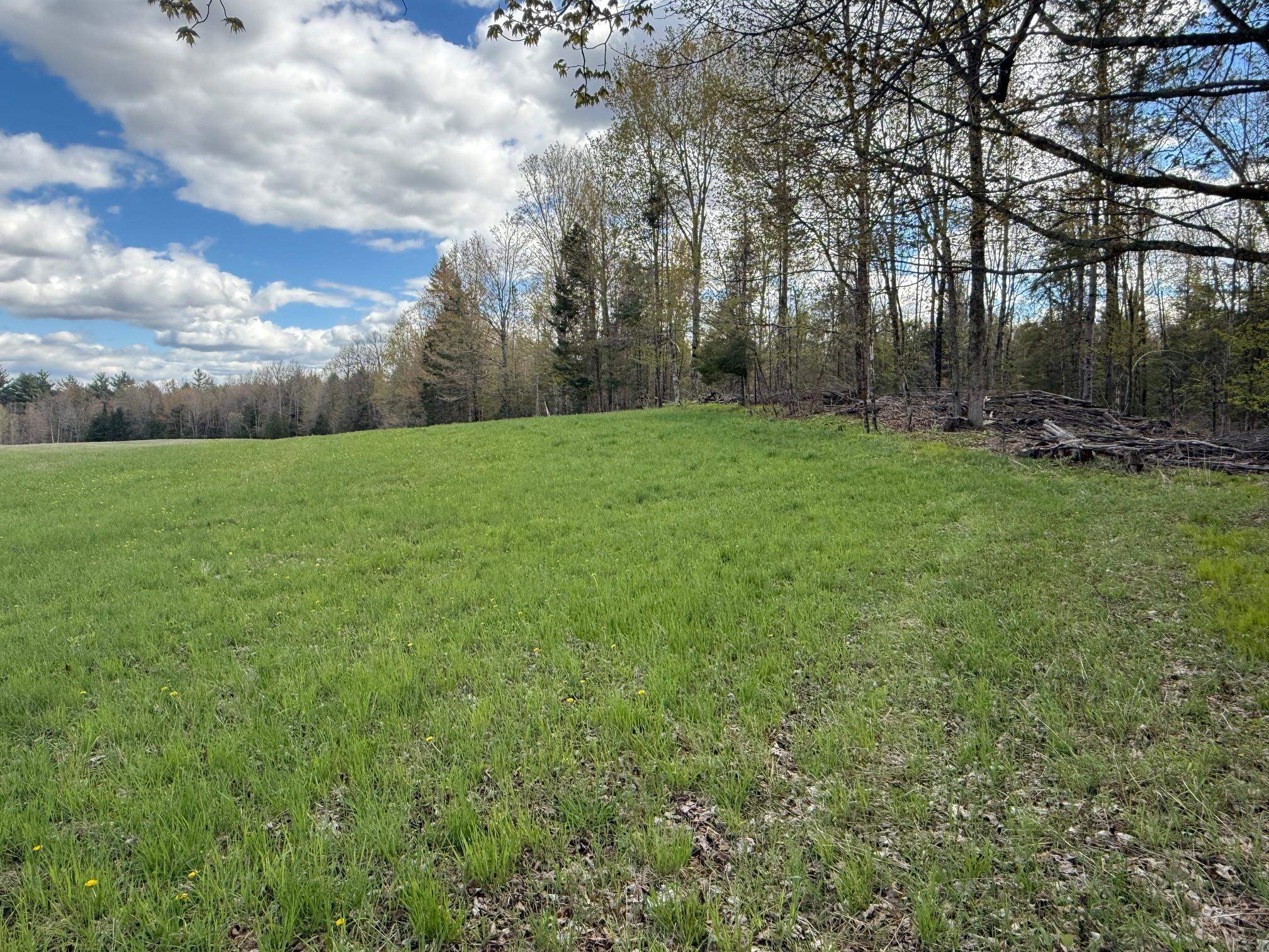 Elm Road Birnamwood, WI 54414 - Photo 20 of 22