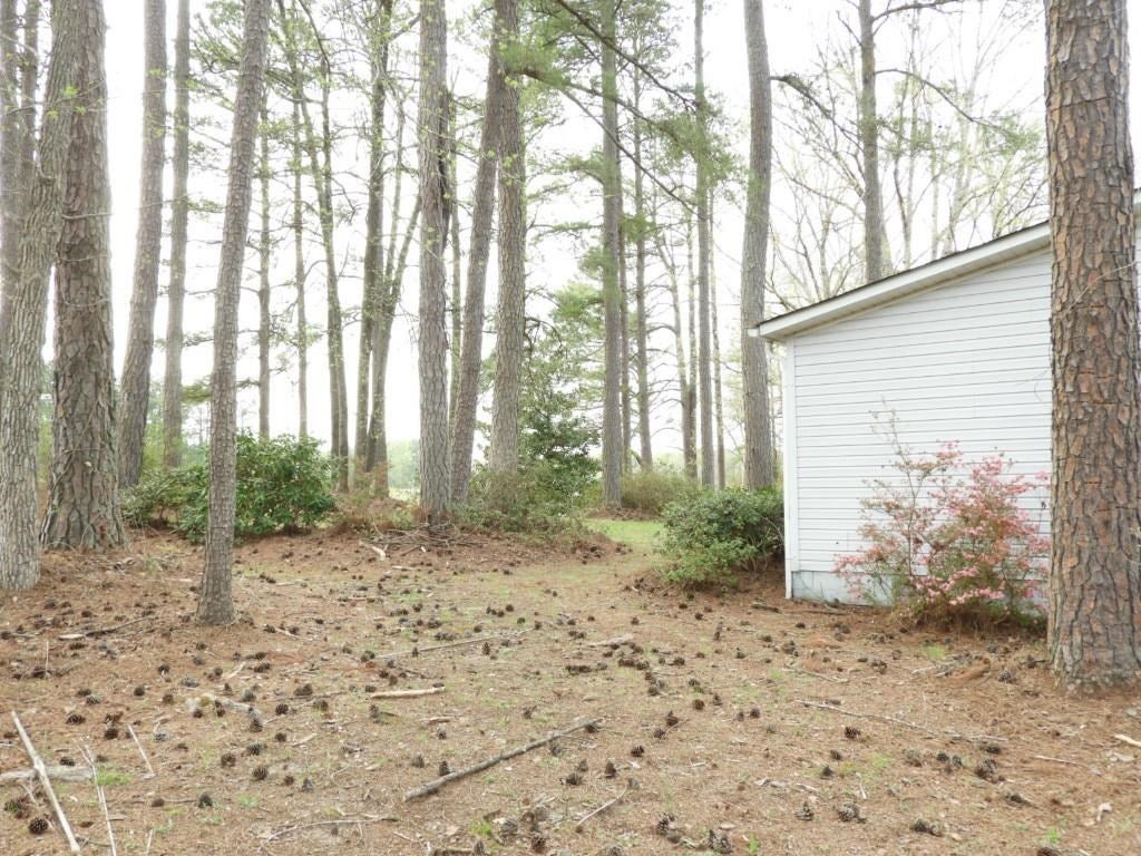 417 Flat Rock Road Kenbridge, VA 23944 - Photo 39 of 44 Gallery Image 39