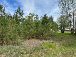 109 Tiger Lake Road Alexandria, LA 71302 - Photo 1 of 1