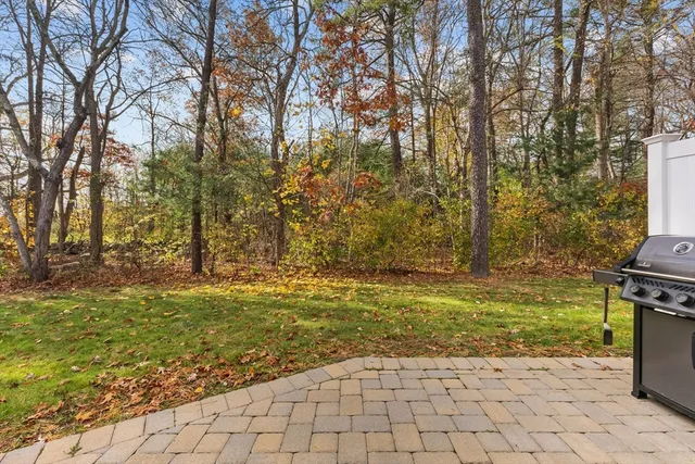 a backyard of a house with lots of green space
