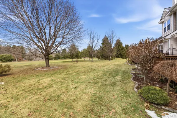 a view of yard with trees