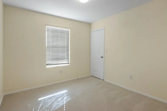 a view of a backyard with a garden and plants