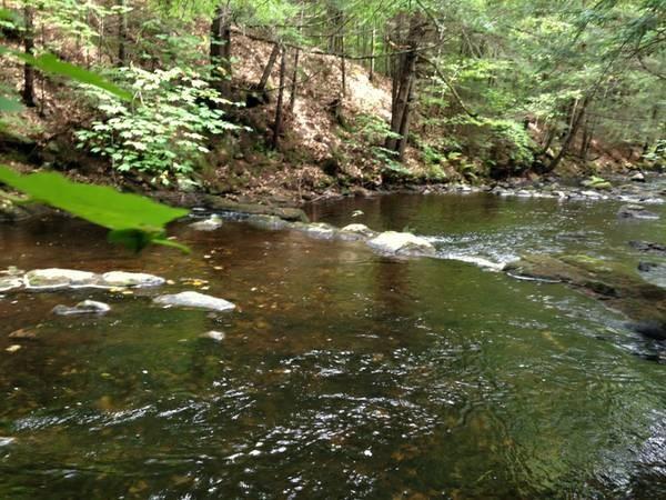 0 Tolman Road Harrison, ME 04040 - Photo 7 of 10 In spring, the water is plentiful.
