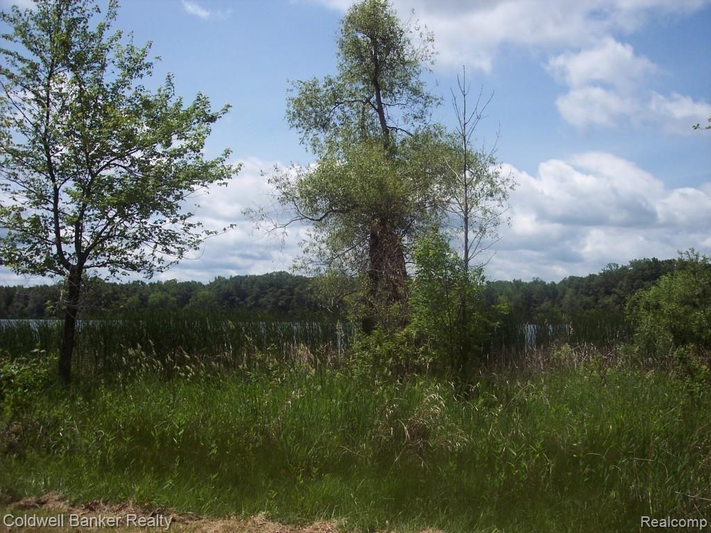 5870 Sinroll Road Ortonville, MI 48462 - Photo 2 of 19