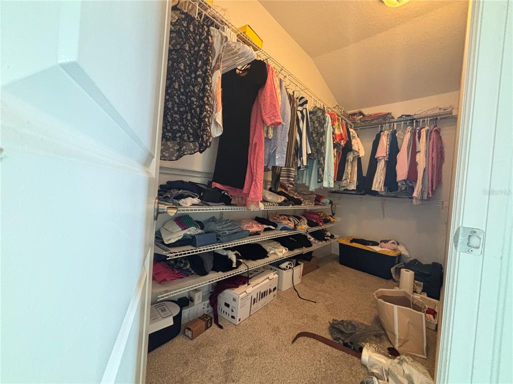 9136 Fox Sparrow Road Tampa, FL 33626 - Photo 20 of 34 a view of walk in closet with clothes