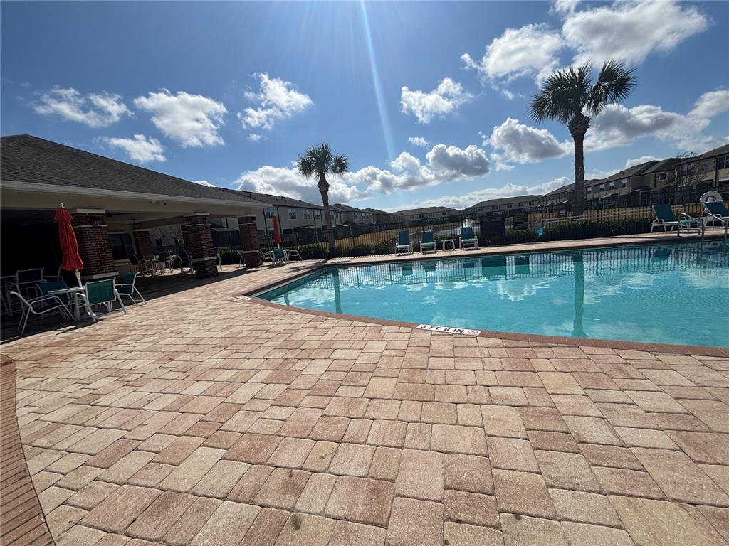 9136 Fox Sparrow Road Tampa, FL 33626 - Photo 34 of 34 a view of a backyard