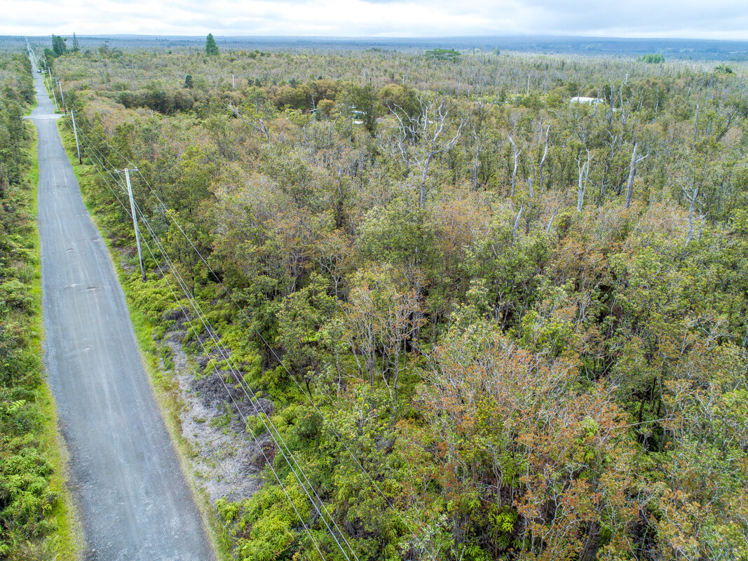 83 Makoa Road Mountain View, HI 96771 - Photo 18 of 22 a view of a forest with a street