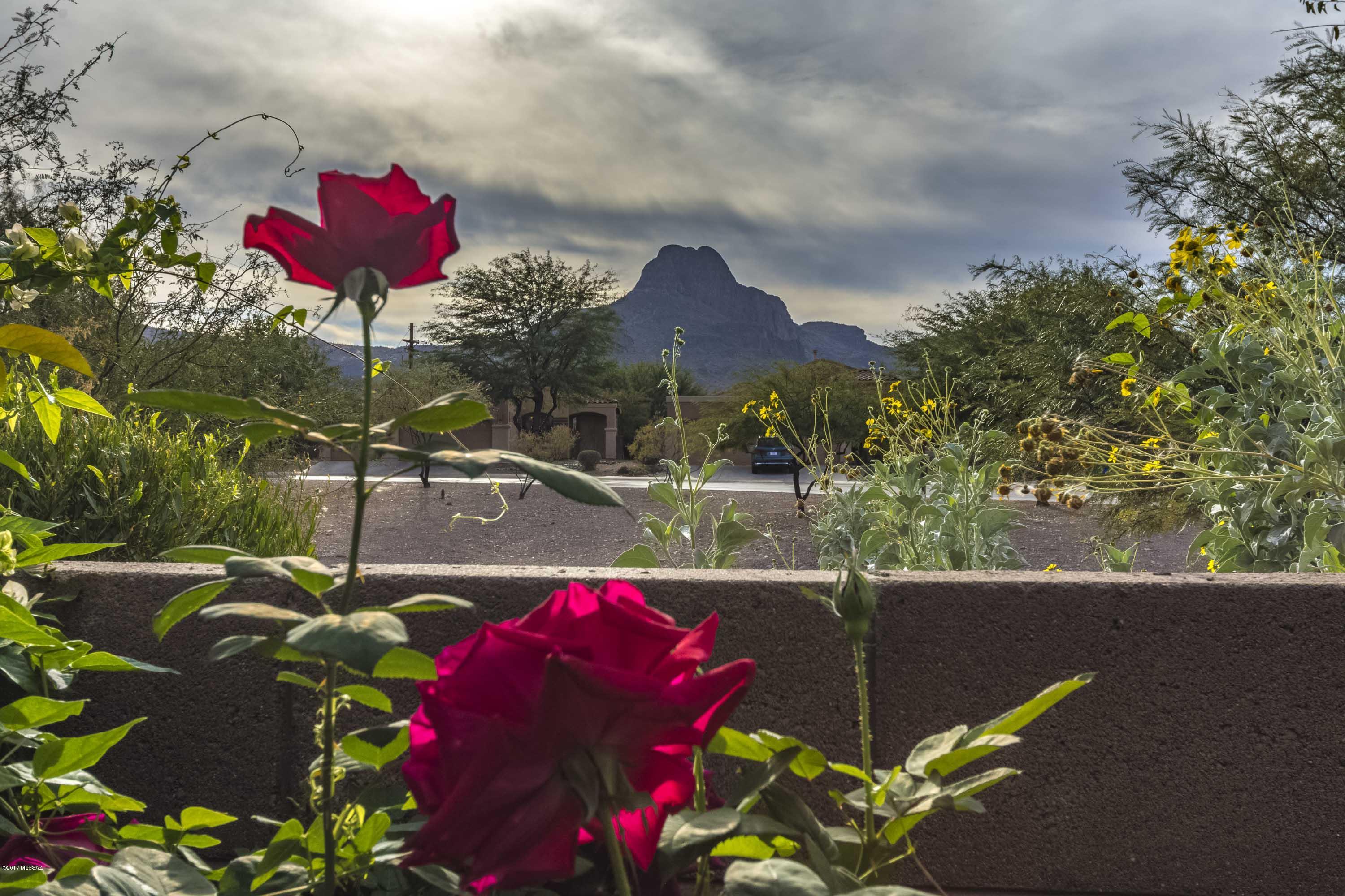 7629 West Sugar Ranch Road Tucson, AZ 85743 - Photo 38 of 46 Gallery Image 38
