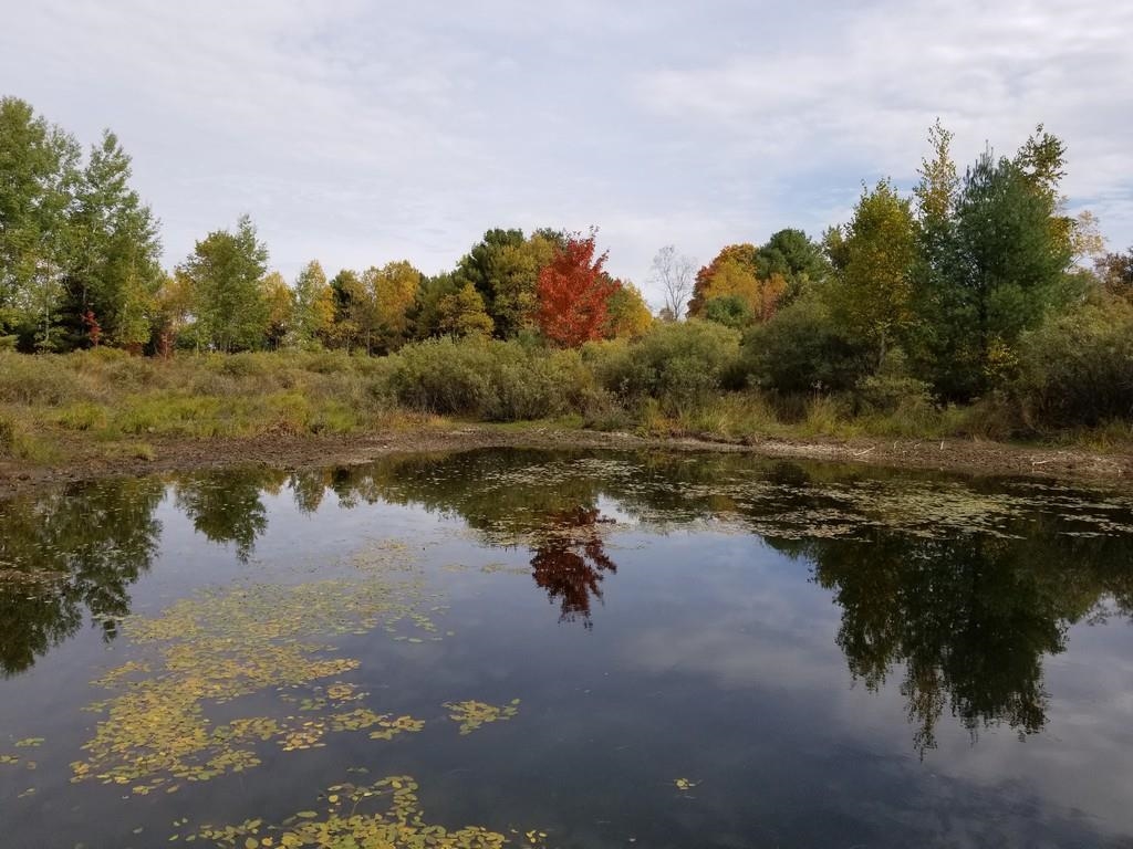 2089 Sigma Road Southeast Kalkaska, MI 49646 - Photo 19 of 57 1905734-18.JPG