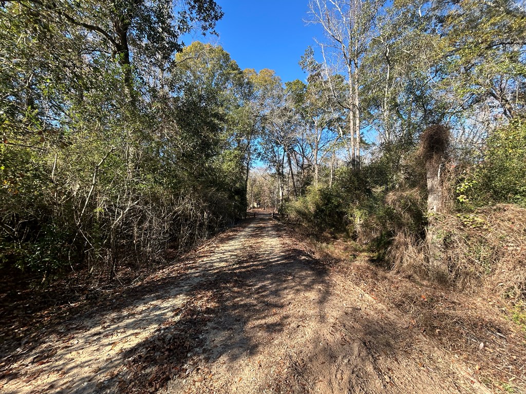 3630 Eddins Road Dothan, AL 36301 - Photo 10 of 43