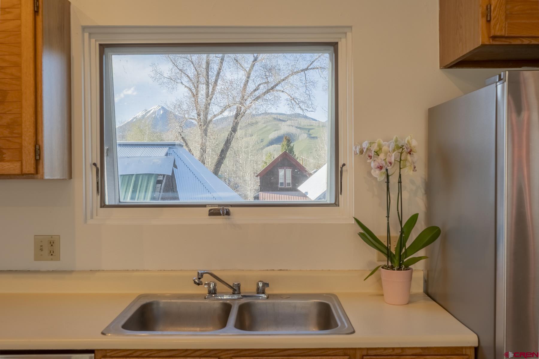 310 2nd Street Crested Butte, CO 81224 - Photo 16 of 42 a sink with a view of outdoor space