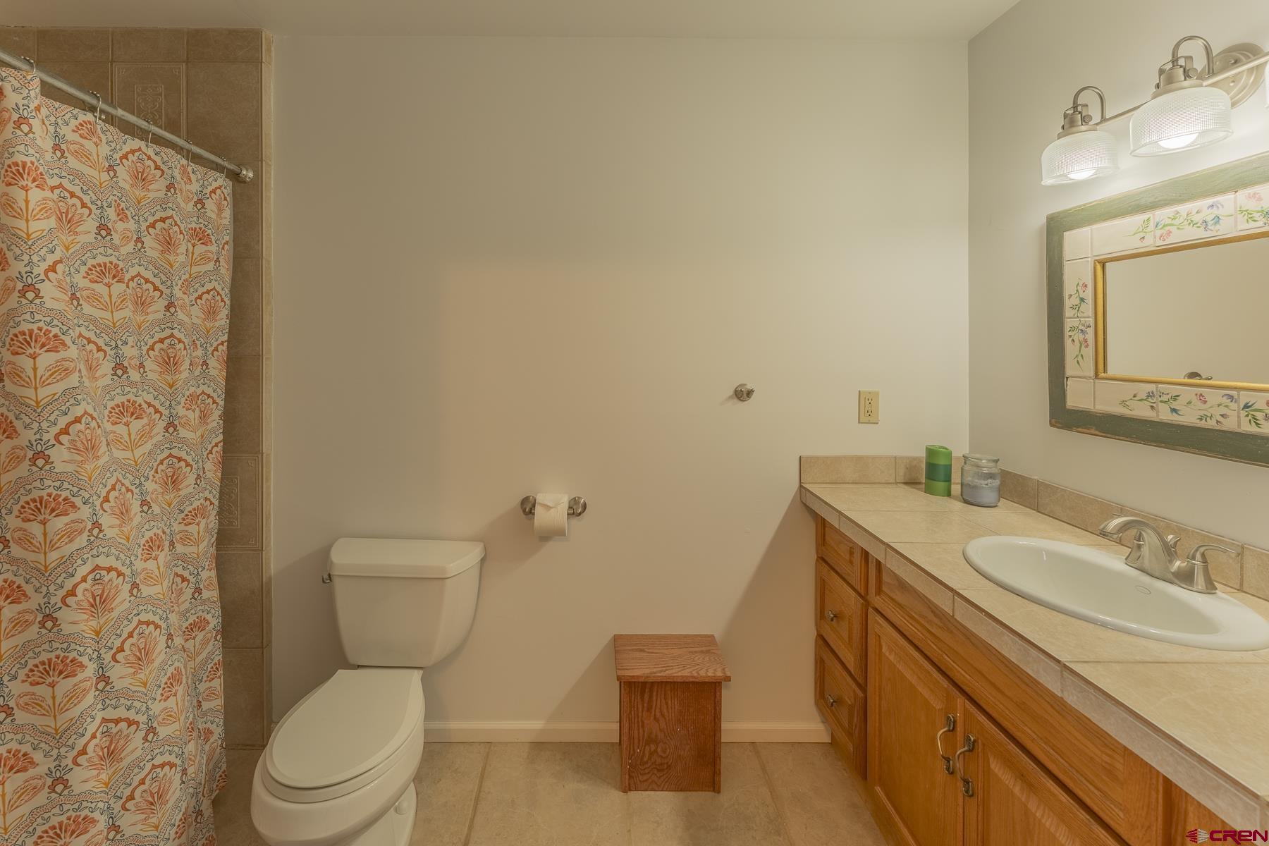 310 2nd Street Crested Butte, CO 81224 - Photo 29 of 42 a bathroom with a sink a toilet and a mirror